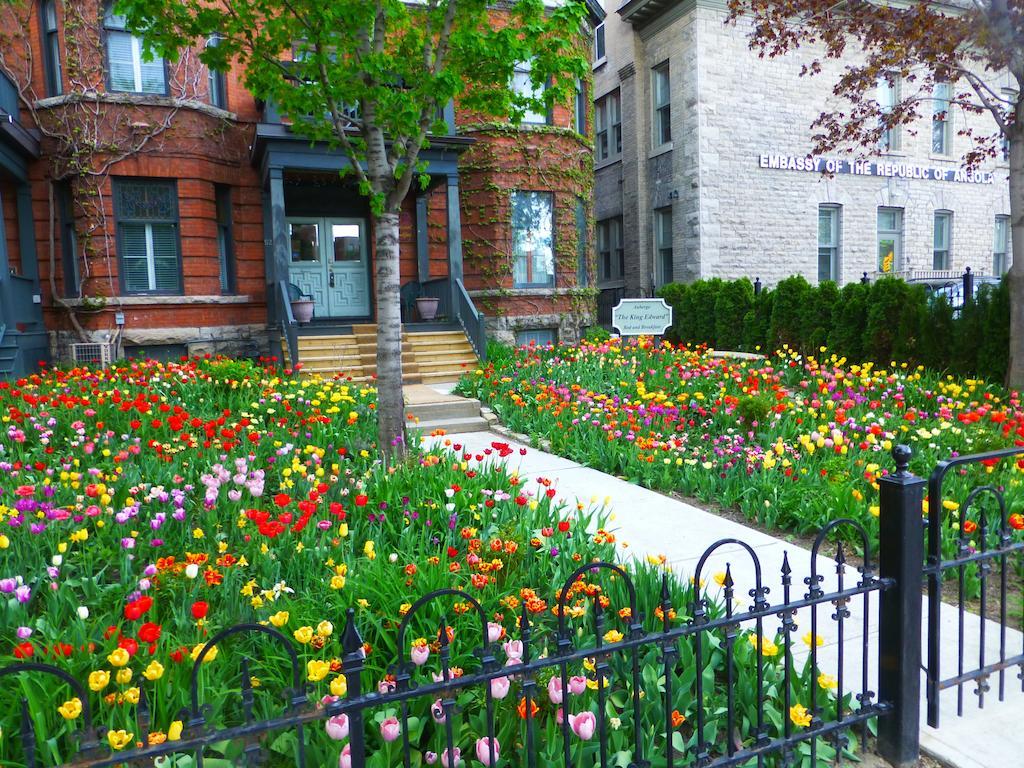 Auberge King Edward Bed And Breakfast Ottawa Rum bild